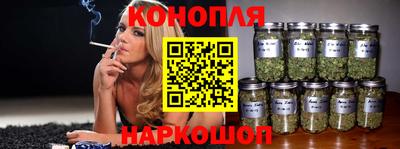 стафф Братск